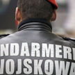 Żołnierz Żandarmerii Wojskowej sprawdzi kierowcę na drodze