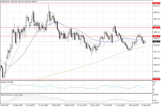 Notowania złota – dane dzienne
