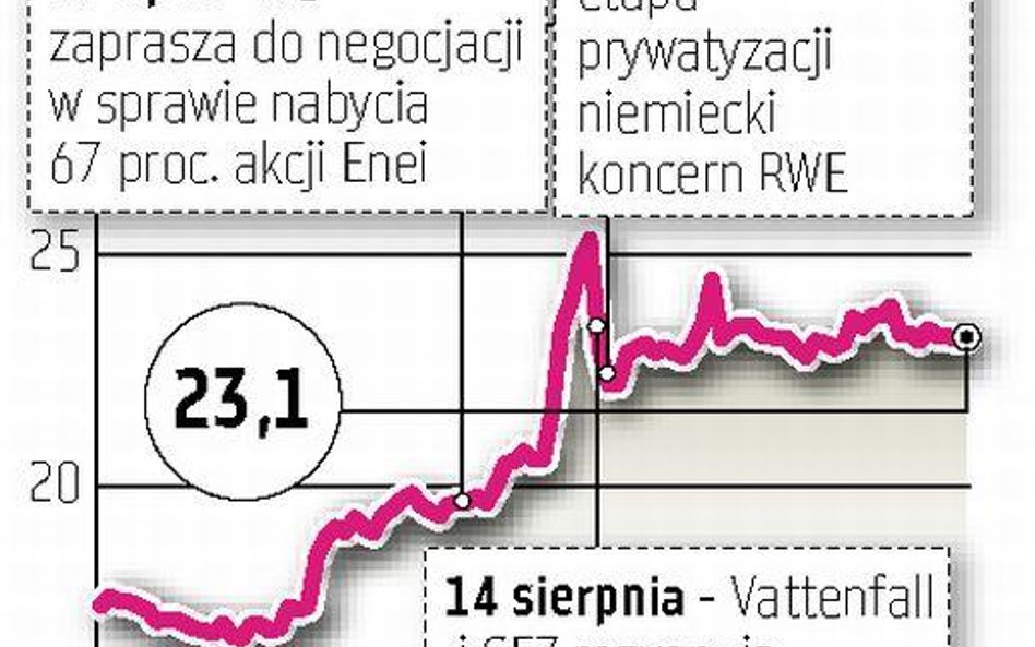 MSP: sprzedaż Enei tylko po dobrej cenie