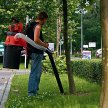 Wynajęcie jednego odkurzacza na psie odchody kosztować będzie dzielnicę 10 tys. zł w ciągu dwóch lat