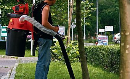 Wynajęcie jednego odkurzacza na psie odchody kosztować będzie dzielnicę 10 tys. zł w ciągu dwóch lat