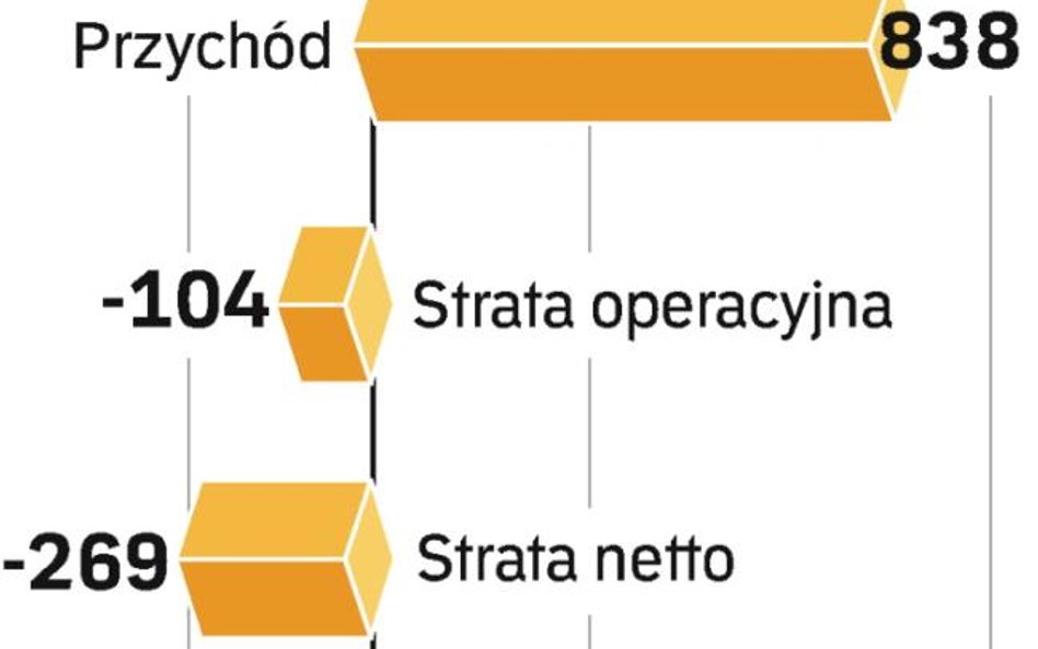 Wyniki roczne netii