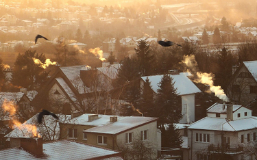Smog regularnie pojawia się zimą w polskich miastach.