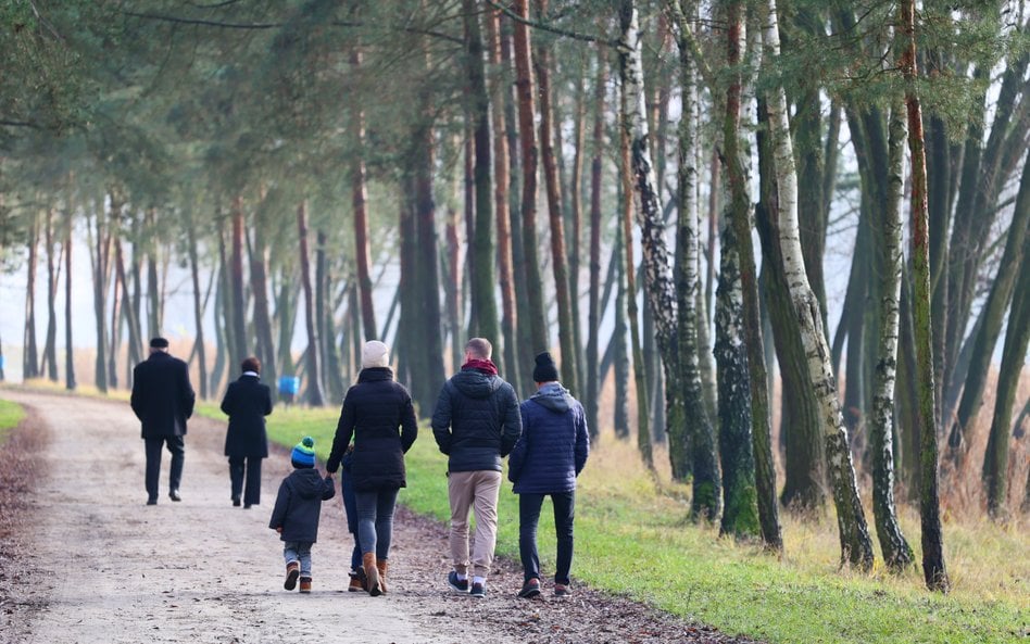 Prognoza długoterminowa do końca października. Ocieplenie nie utrzyma się długo