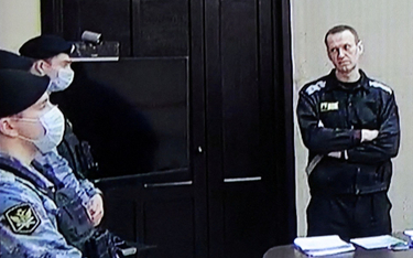 Aleksiej Nawalny przed sądem