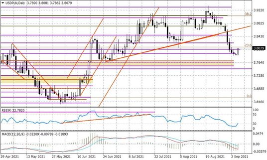 Wykres dzienny USDPLN