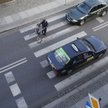 Piesi bez większych praw, petycja w rządowej zamrażarce