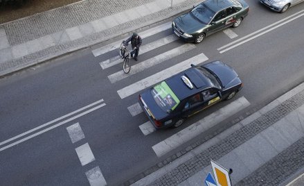 Piesi bez większych praw, petycja w rządowej zamrażarce