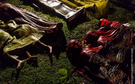 Patrick Brown, "Rohingya Crisis"