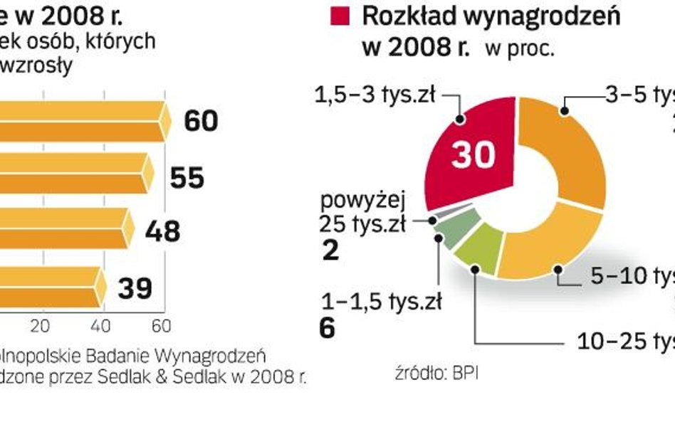 W 2008 aż 6 na 10 Polaków chwaliło się wzrostem zarobków. W tym roku powodem do radości będzie utrzy