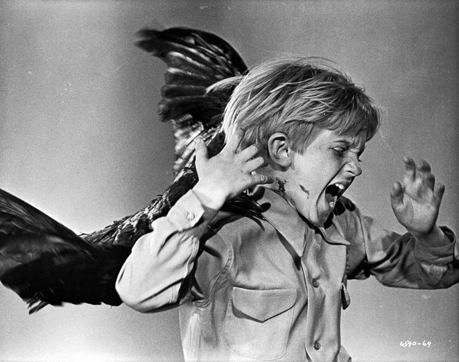 Kadr z filmu „Ptaki” z 1960 roku. To jedna z najważniejszych produkcji w historii gatunku jak i kina