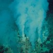 W pobliżu kominów hydrotermalnych na dnie oceanów roi się od prymitywnych organizmów