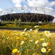 The London 2012 Olympic Stadium