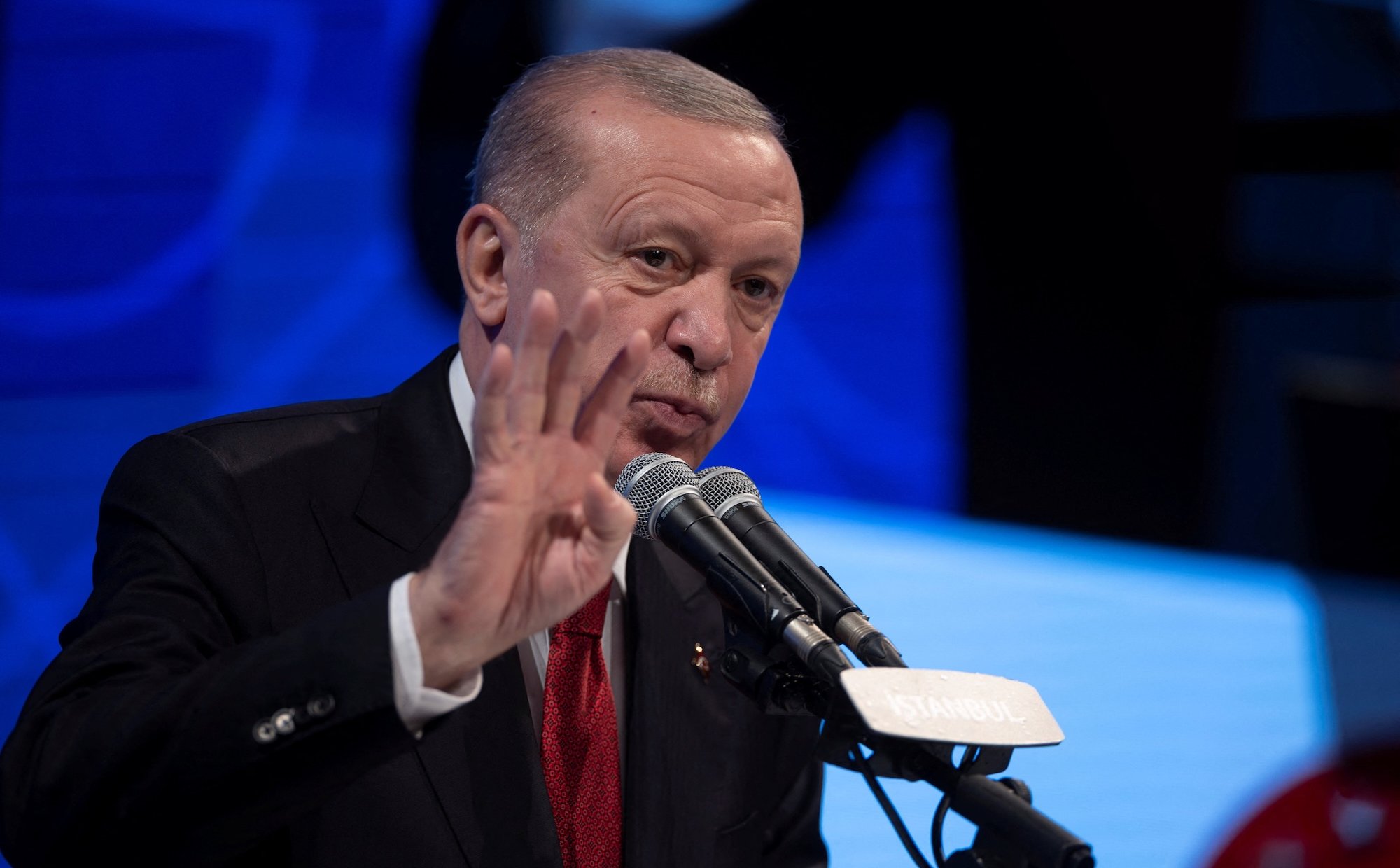 Recep Erdogan on the way  to establishing a dynasty