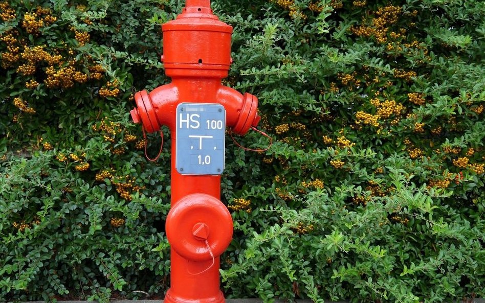 Hydranty przeciwpożarowe wpływają na zakres odliczenia VAT - wyrok WSA