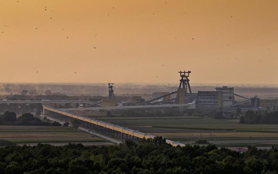 Bogdanka oficjalnie w grze o zasobne lubelskie złoże