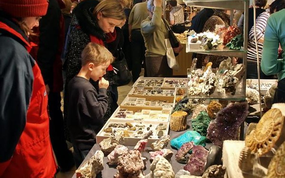 PKiN w Warszawie. Wystawa minerałów