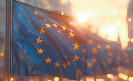 Odpowiedzią na fragmentaryzację rynku globalnego są tzw. Free Trade Agreements (FTAs), czyli bilater