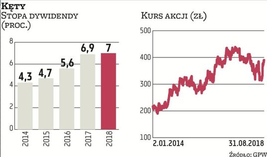 Śnieżka może pochwalić się bogatą historią regularnych wypłat. W tym roku stopa dywidendy (2,9 proc.