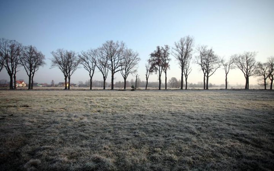 Przymrozki na Podlasiu