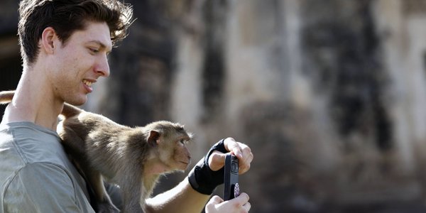AI in travel: useful translator and planner, but no substitute for human judgment