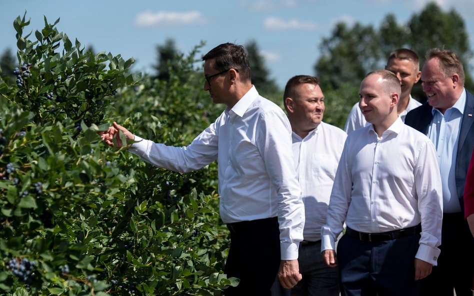 Biznes a Polski Ład: w podatki rząd gra z nami nie fair