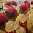 Kościół buduje kompleksowy system ochrony małoletnich