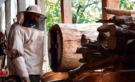 Historia w filmie jest prosta, ale nic w niej nie jest ukazane wprost