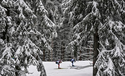 Puchar Świata w biatlonie. Monika Hojnisz-Staręga błysnęła w Oberhofie