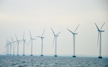 Batalia o cenę prądu z morskich wiatraków
