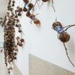 Gigantycznie mrówki na ścianach Rijksmuseum to część wystawy „Crawly Creatures”.