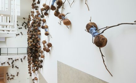 Gigantycznie mrówki na ścianach Rijksmuseum to część wystawy „Crawly Creatures”.