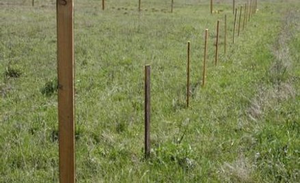 Nie wystarczy ewidencja gruntów, by odmówić zezwolenia zagranicznemu inwestorowi