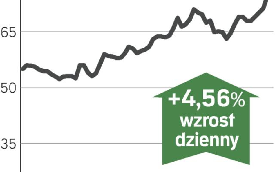 Akcje w górę po wynikach