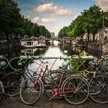 Fot: Jace & Afsoon/Unsplash