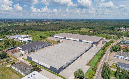 Hurtownia Opakowań urosła w Markach