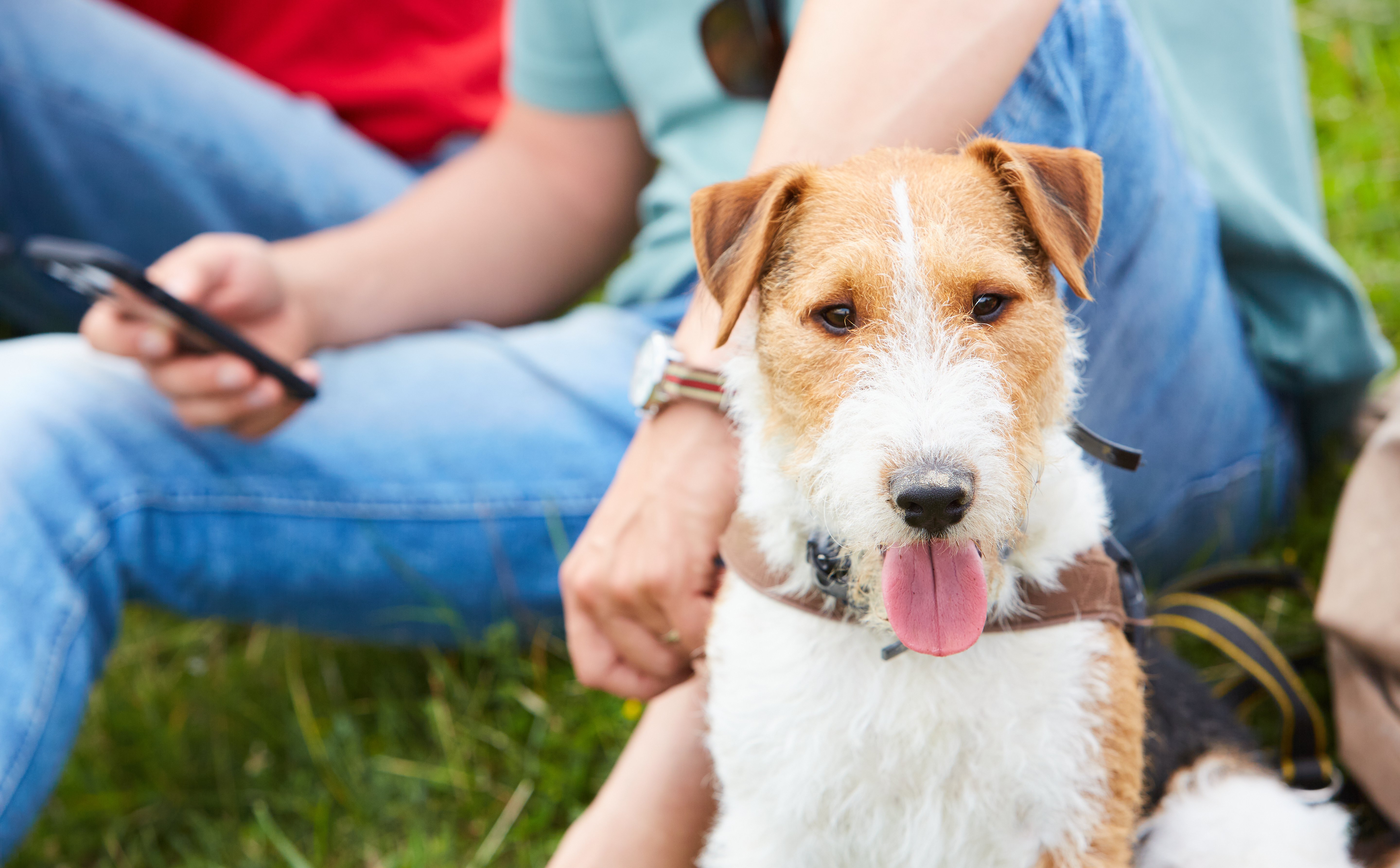 Dobre wieści ze spółki Bioceltix. Akcje drożeją