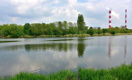 Jeziorko Czerniakowskie