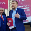 Zandberg o posłach Konfederacji: Pajacują