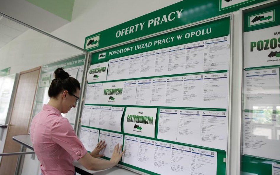 Rok rekordowo niskiego bezrobocia i rynku pracownika