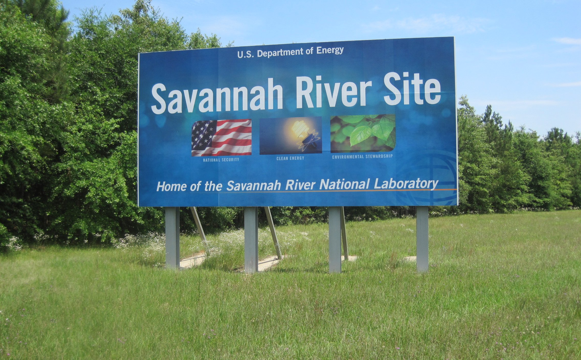 Radioaktywne gniazdo os odkryto w dawnych zakładach produkcji plutonu do broni jądrowej