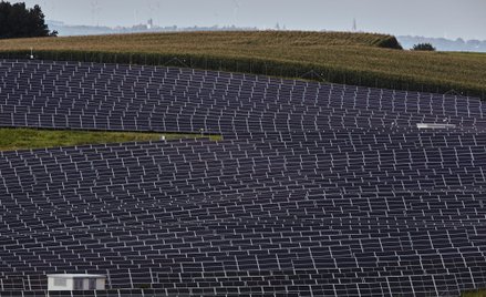 Tauron buduje największą farmę fotowoltaiczną z pomocą polskiego dostawcy
