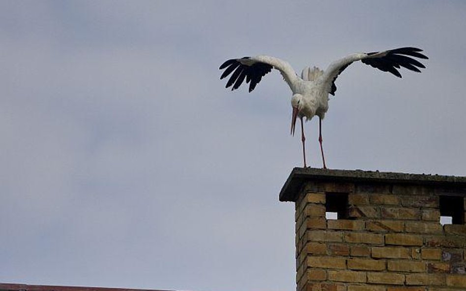 Podkarpackie i lubelskie wśród najbiedniejszych w UE