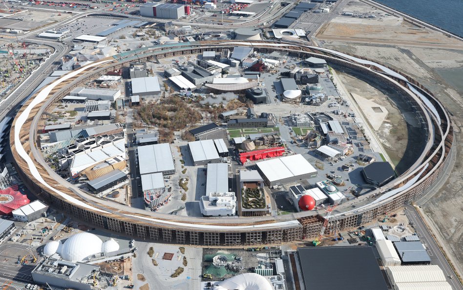 Co dalej z największą drewnianą konstrukcją na świecie? „Najgorsza decyzja”