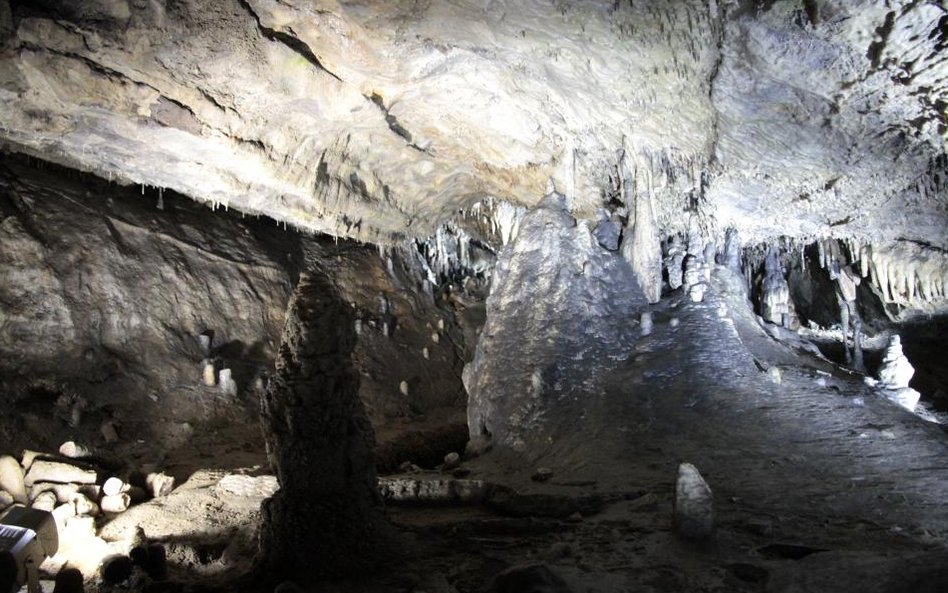 Jaskinie w Han-sur-Lesse w Belgii