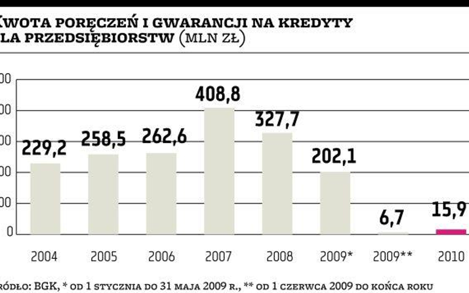 Rząd „załatwił” poręczenia