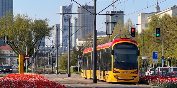 Andrzej Halesiak: Strategiczne wizje i przemilczane kompromisy