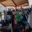 Zbigniew Bujak: Uchodźcy - problem czy szansa