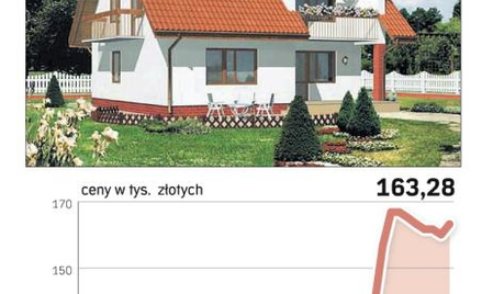Ustaw się w kolejce po cement i gazobeton