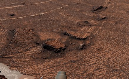 Zdumiewające odkrycie marsjańskiego łazika. Krajobraz przypominający plaster miodu